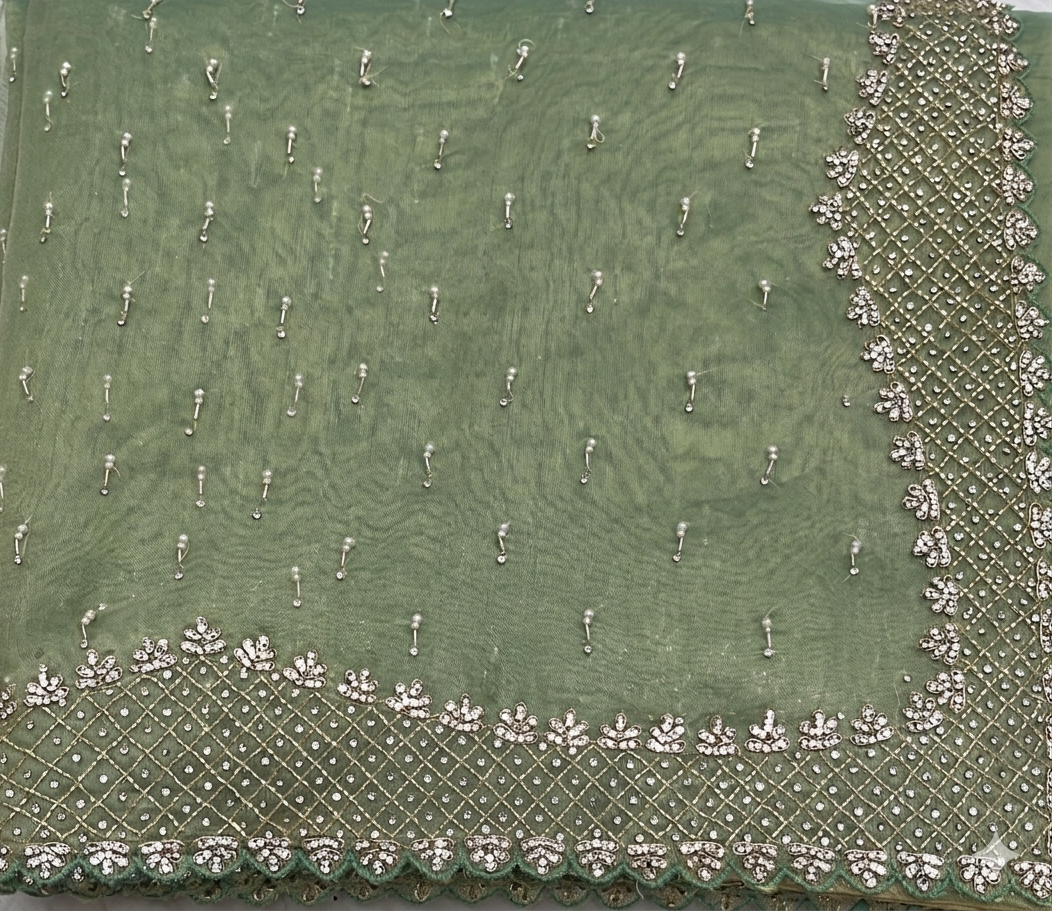 The Ethereal Emerald: Hand-Embroidered Glass Tissue Saree
